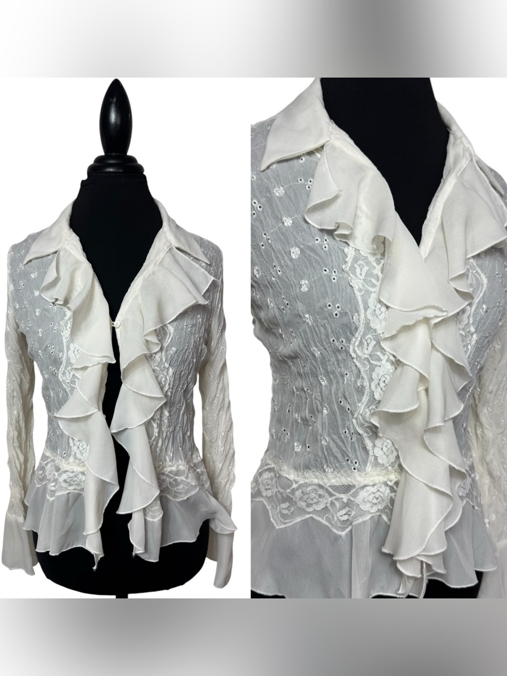 Vtg Allison Taylor Ivory Embroidered Chiffon Top